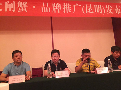 2017�����κ���բз��Ʒ���ƹ㣨������������