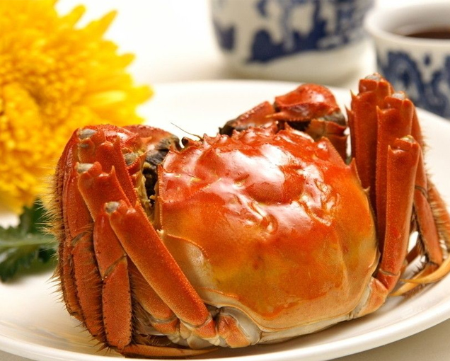 ����ĸз 166Ԫ/ֻ