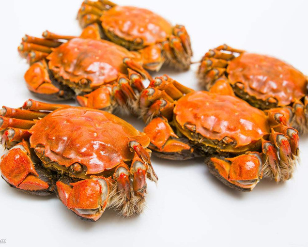 ��Ʒ��з 136Ԫ/ֻ