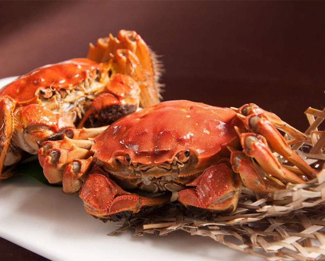 �ؼ���з 96Ԫ/ֻ